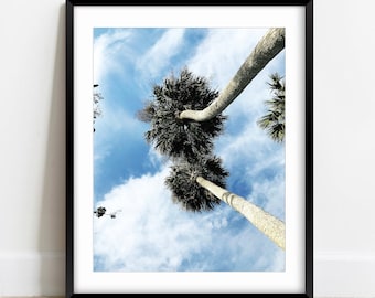 Palm Tree Print, Palm Tree Photo, California Wall Art, Nature Photography, California Print, Santa Barbara Photography Print [Two Palmtrees]