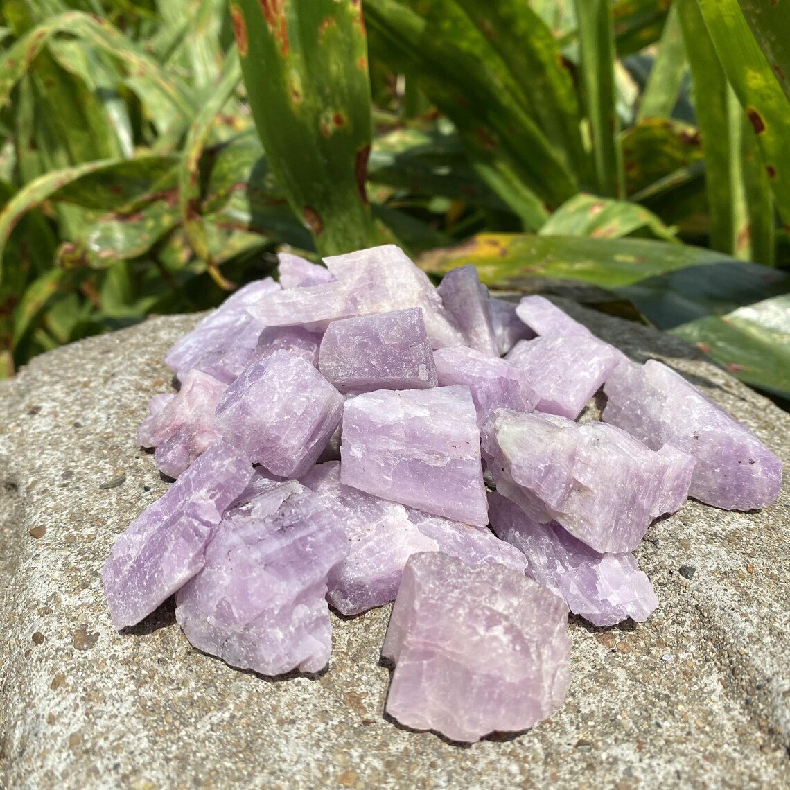 Raw Kunzite Crystal Kunzite Rough Crystals Kunzite Tumble Etsy