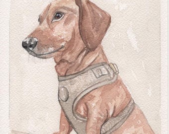 Retrato personalizado de perro salchicha a partir de una foto / Arte de perro salchicha pintado a mano en acuarela / Regalo personalizado para amantes de los perros salchicha / Recuerdo para amantes de los perros salchicha