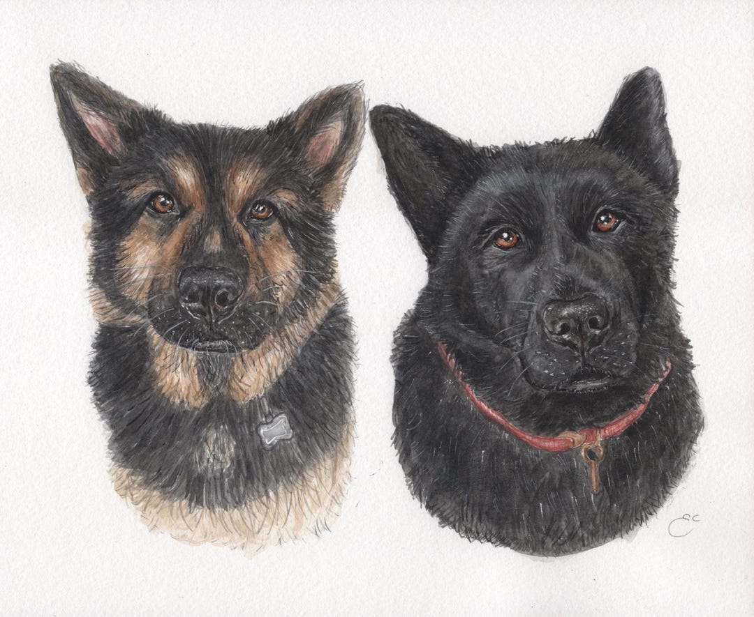 Custom Pet Portrait From Photo | Hand-painted Watercolour Dog Cat Art ...