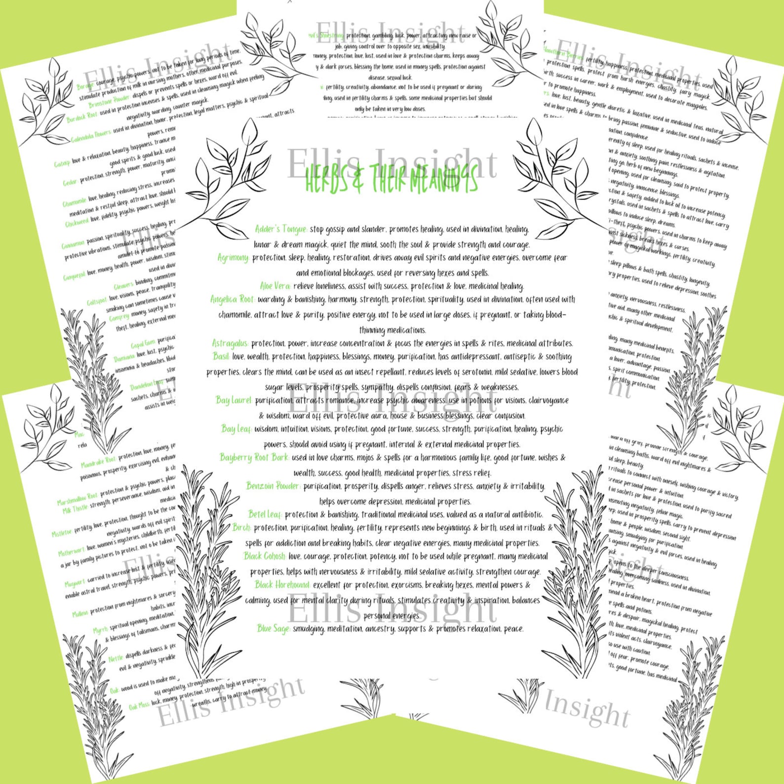 Printable Herbs & Their Meanings with Correspondences Etsy