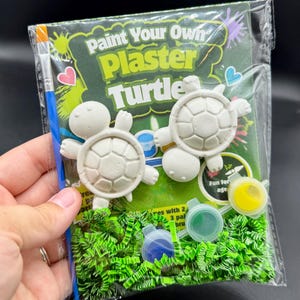 May include: A Paint Your Own Plaster Turtle craft kit in a clear plastic bag containing two white plaster turtle figurines, a blue-handled paintbrush, and three small circular paint pots in blue, green, and yellow, set on green paper grass.