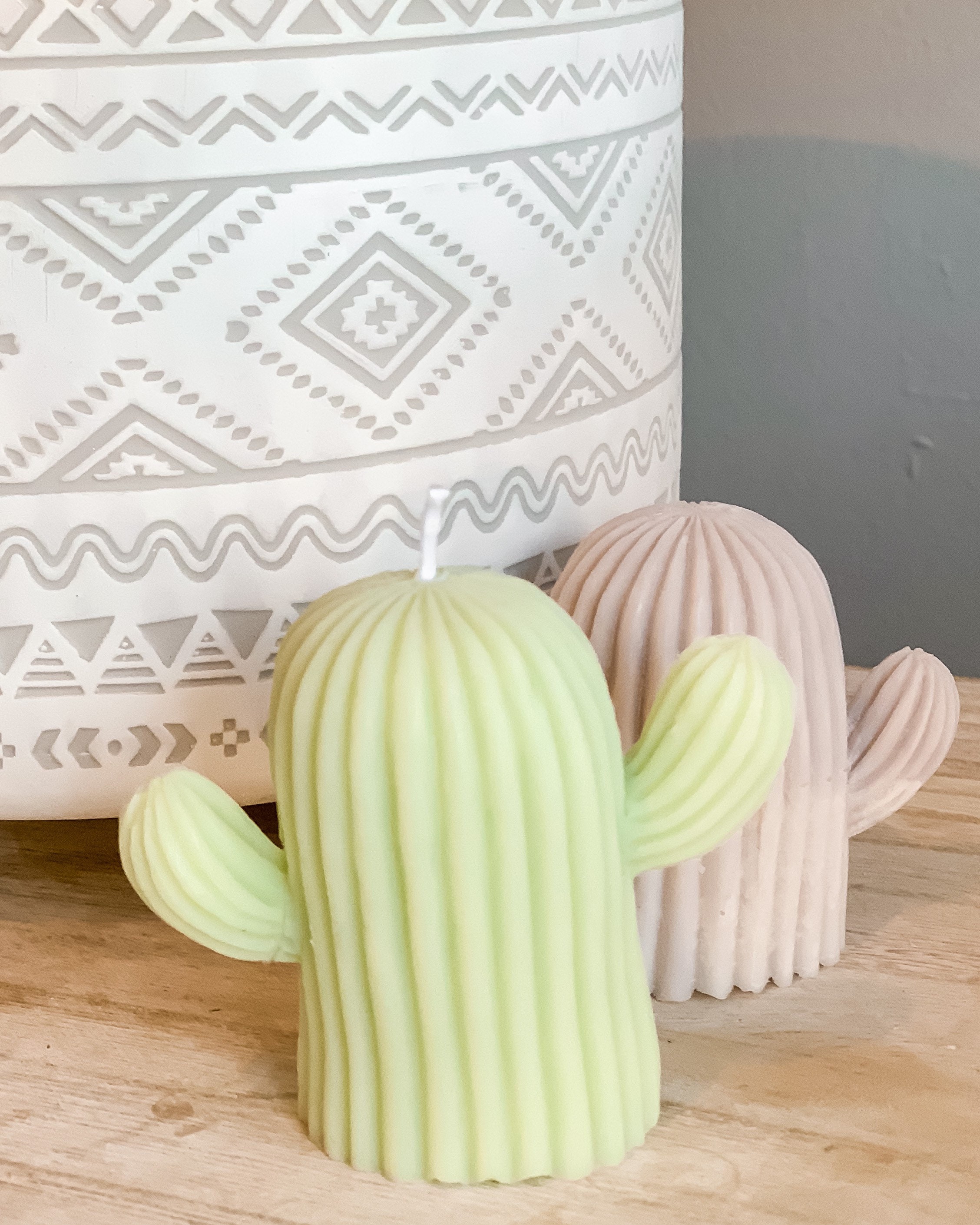 Cactus Candle Etsy