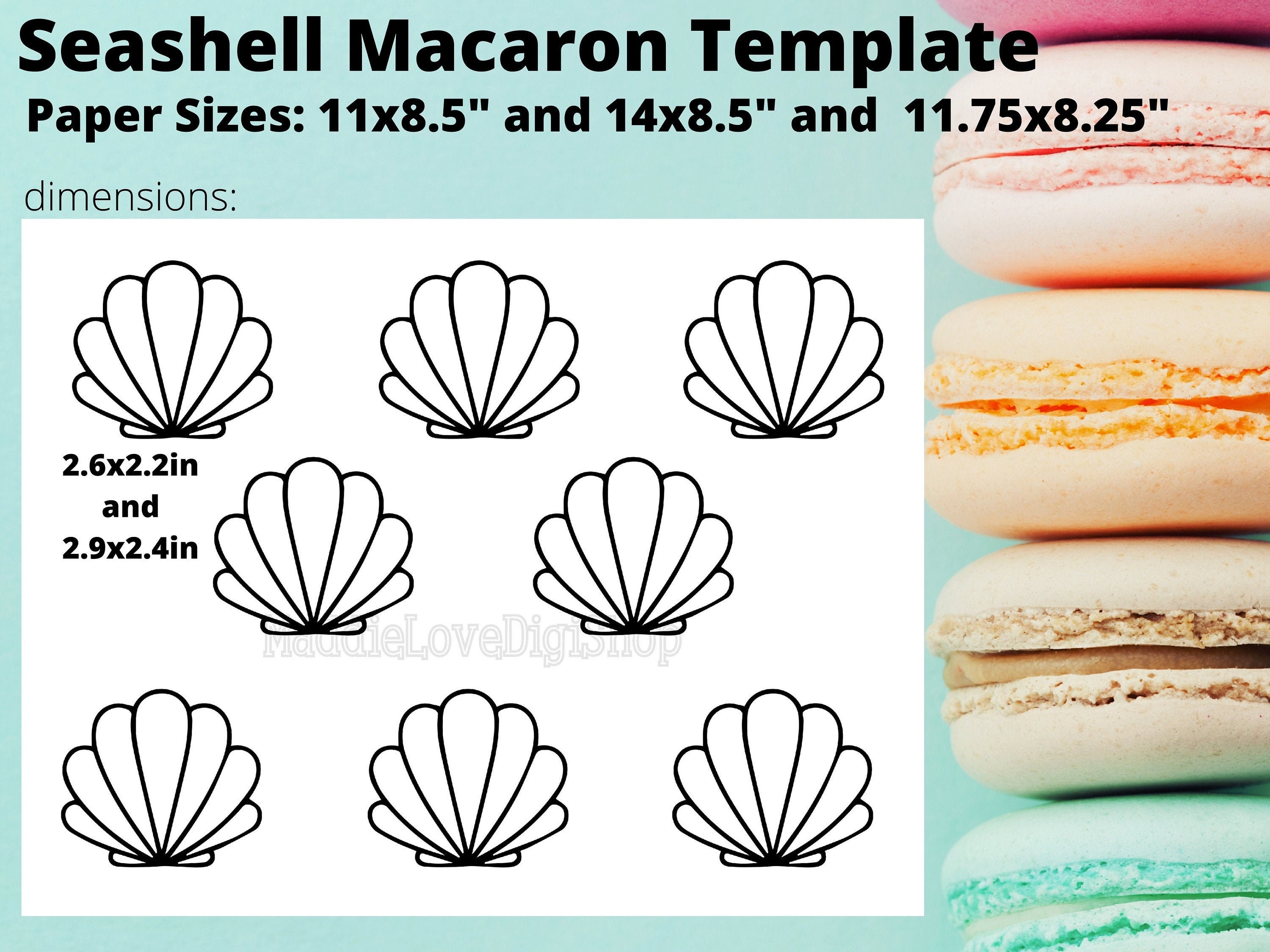 seashell macaron template etsy
