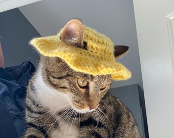 Etsy hats for cats Clearance