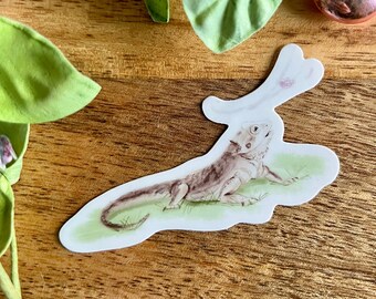 Bearded Dragon Vinyl Sticker, Original Art, Lizard with Cherry Blossom