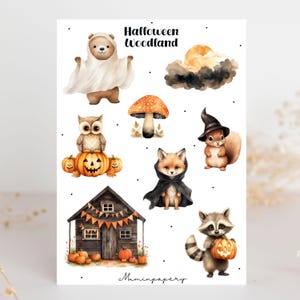 Könnte beinhalten: Eine skurrile Halloween-Illustration mit Waldtieren in Kostümen. Ein Bär im Geisterkostüm, eine Eule auf Kürbissen, ein Fuchs mit Umhang und ein Waschbär mit Kürbislaterne gehören zu den Figuren. Die Worte "Halloween Woodland" stehen oben.