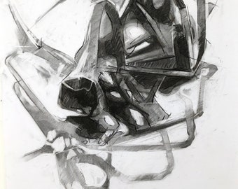 Spider study - Original charcoal drawing signed by artist.