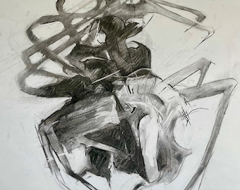 Spider study - Original charcoal drawing signed by artist.