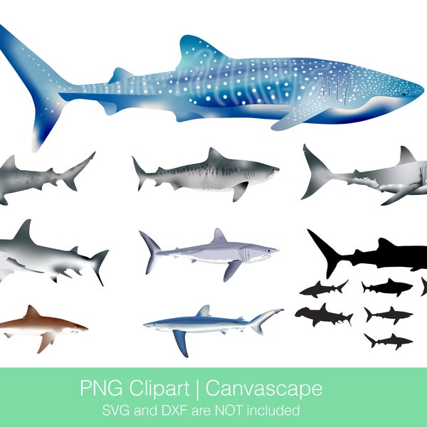 Shark Clipart, Paper Craft, Whale Shark, Great White, Bull Shark, Tiger Shark, Hammerhead, Mako Shark, Bronze Whaler, Blue Shark