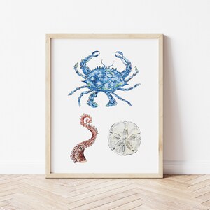 Chesapeake Blue Crab, Octopus tentacle, Sand dollar Marine 8x10 Giclée Print, Nautical Pacific Atlantic Ocean Collage Art by Leela Ann Art