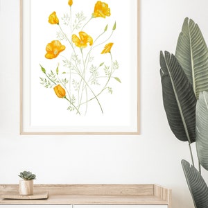 May include: A framed botanical illustration of a bunch of yellow California poppies with green stems and leaves on a white background.
