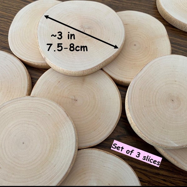 Ensemble de 3 psc Tranches de bois de bouleau poncées des deux côtés avec une fine couche d’écorce De bois naturel Disques minces Tranches séchées Vierges non finies pour la peinture