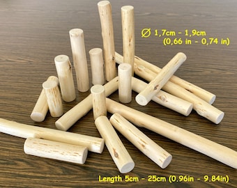 Pezzi di legno naturale, bastoncini di betulla scortecciati di diverse lunghezze per decorazione e artigianato, rami d'albero, pezzi di legno di betulla