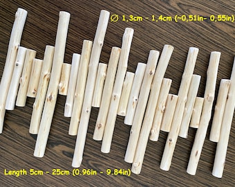 Thin Diameter Natural Wood Dowels Different Lengths Natural Piece of Birch Tree Branch Wooden Supplies Thin Peeled Birch Stick