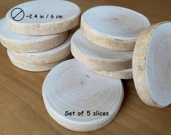 Sanded Birch Wood Slices without Bark Natural Wood Thin Discs Dried Slices Both Side Sanded Unfinished Blanks Slice of Wood Paintable Blanks