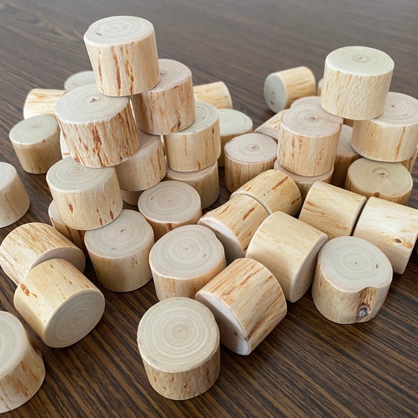 Debarked Wood Pieces for Craftworks and Decoration Wood Supplies Set of 9 psc Piece of Natural wood branch Unfinished Dowel Wooden Blocks