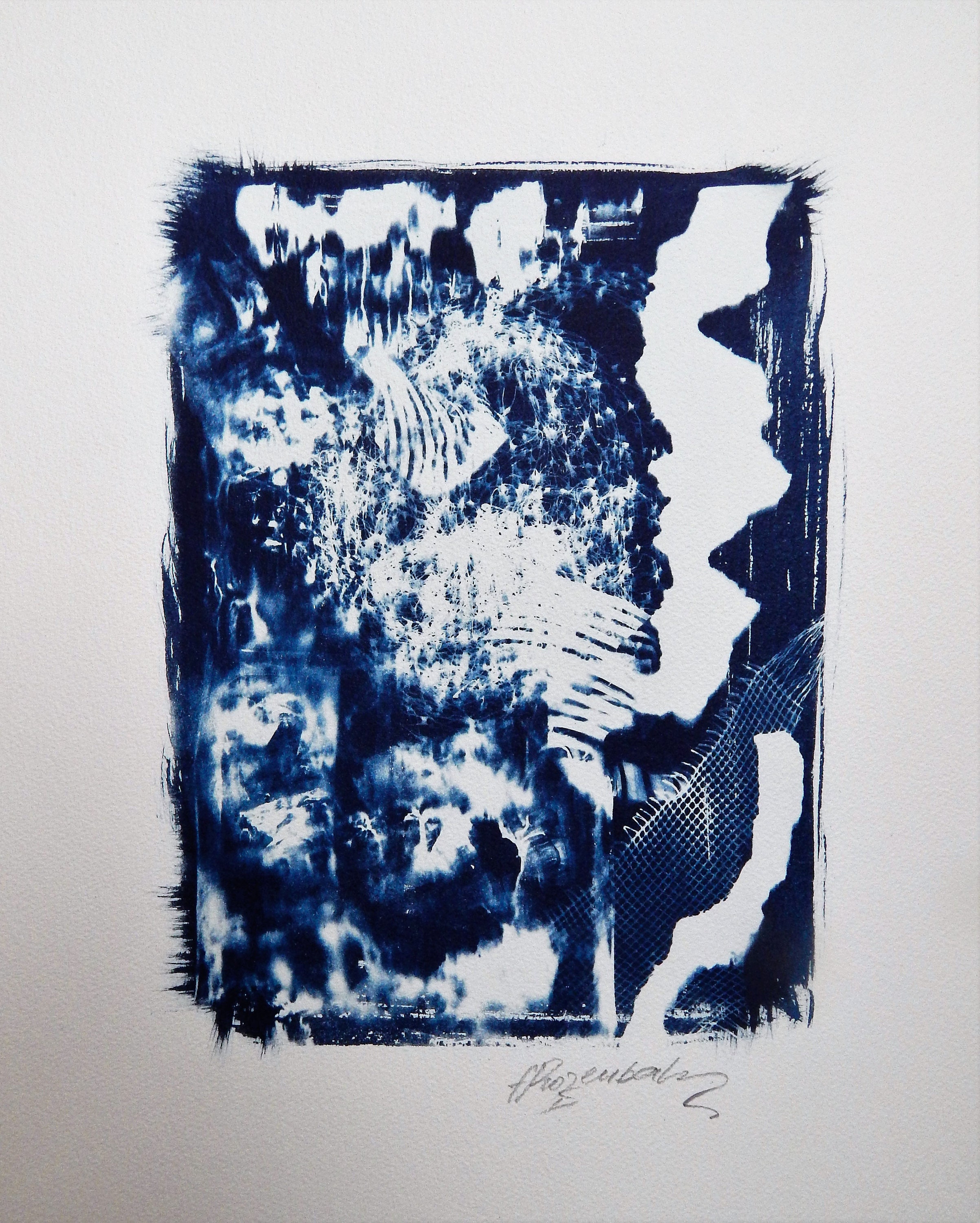 Abstract #14 (cyanotype Original) - Etsy