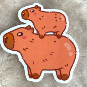 Sticker cute Capybara StickerLlaptop phone tablet Sticker Vinyl kawaii capy Sticker Animal funny Sticker Kindle Waterbottle gift idea friend