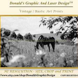 Vintage Horse 3 | Wall Art | Wall Decor | Painting | Digital Print | Digital Download | Digital Art | PRINTABLE WALL ART