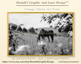 May include: A black and white art print in a gold frame featuring a horse grazing in a grassy field. The text Donald's Graphic And Laser Design, Vintage | Rustic Art Prints, HI RESOLUTION - SIZE, CROP and PRINT is visible.