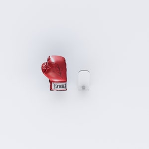 May include: Red boxing glove with white "EVERLAST" lettering and a black signature. The glove is mounted on a clear acrylic stand.