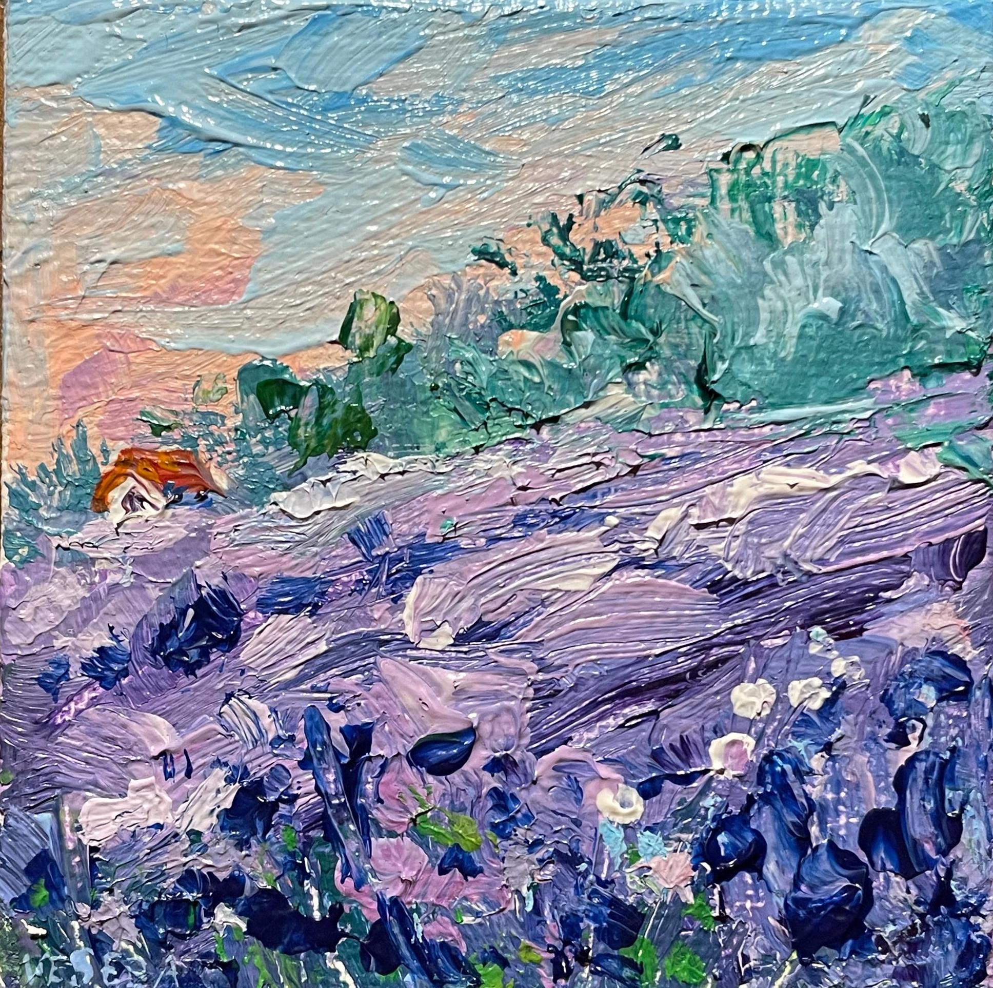 Mini Original Acrylic Painting on Canvas Nature Landscape Flowers Countryside Summer Lavender Field - 3x3 inches