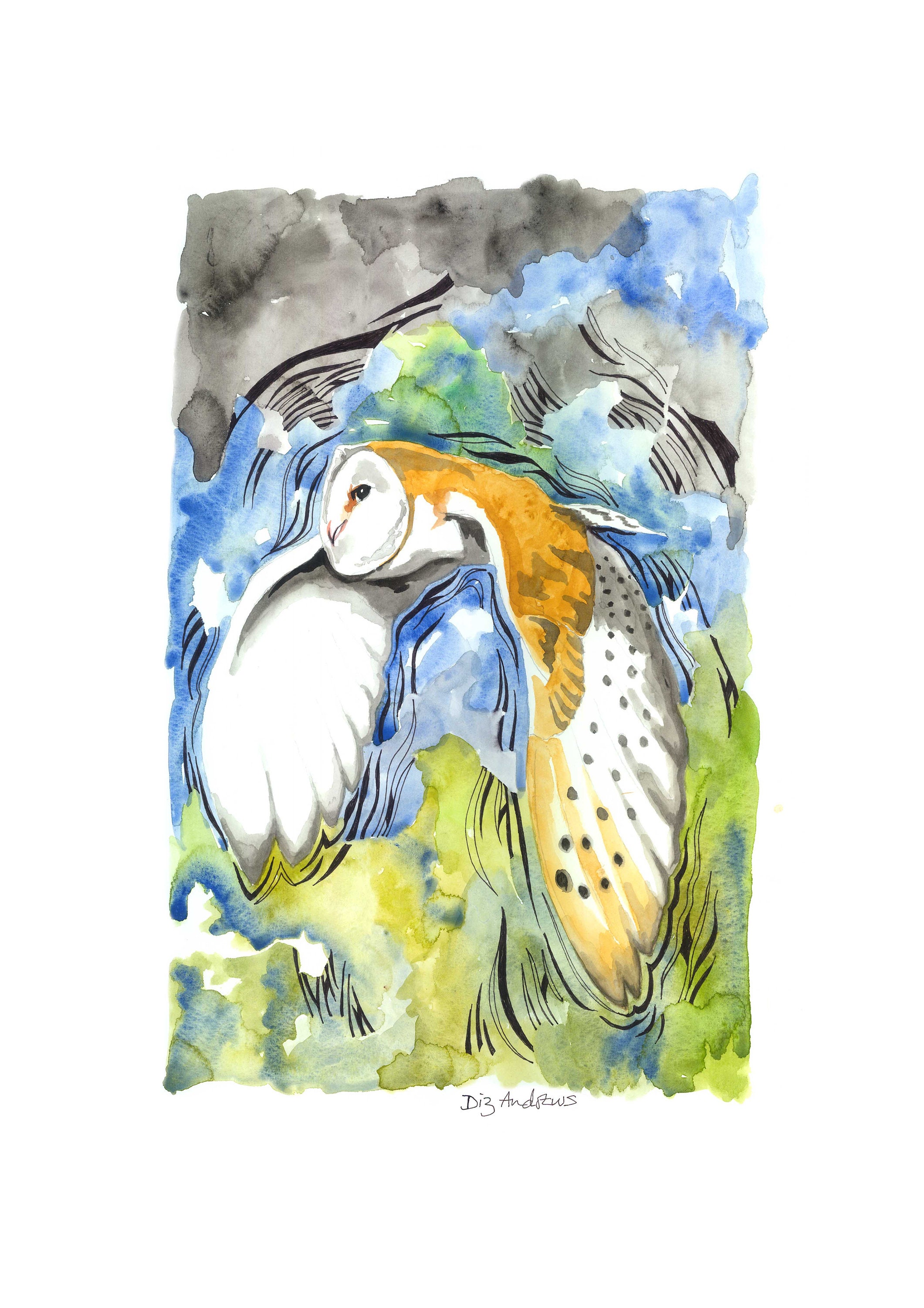 Limited Edition Owl Print by Diz Andrews, 260g Velvet Fine Art Paper