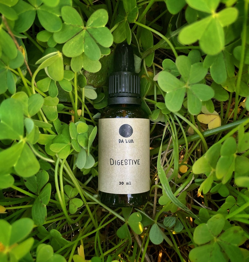 Digestive Tincture / Bitter Herbs. Healthy Gut Stomach Etsy