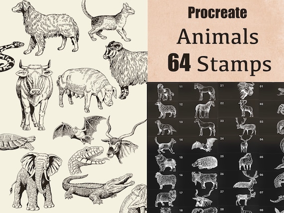 64 Procreate Animals Stamps Procreate Dogs Stamps Procreate - Etsy 64 Procreate Animals Stamps Procreate Dogs Stamps Procreate - Etsy