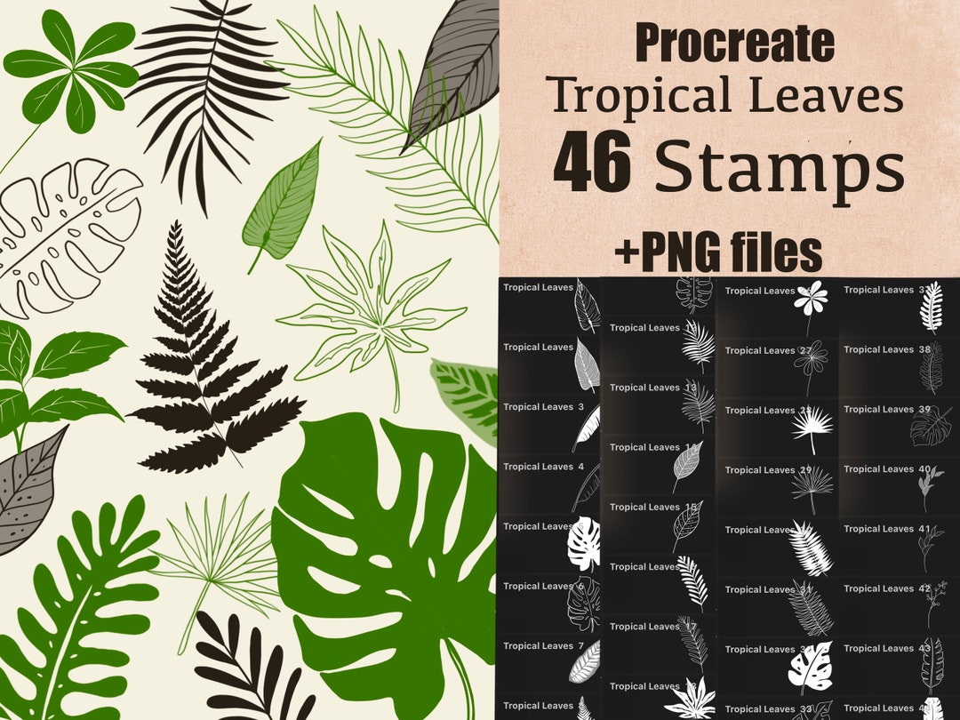 46 Procreate Tropical Leaves Stamps + PNG , Botanical Stamps Procreate ...