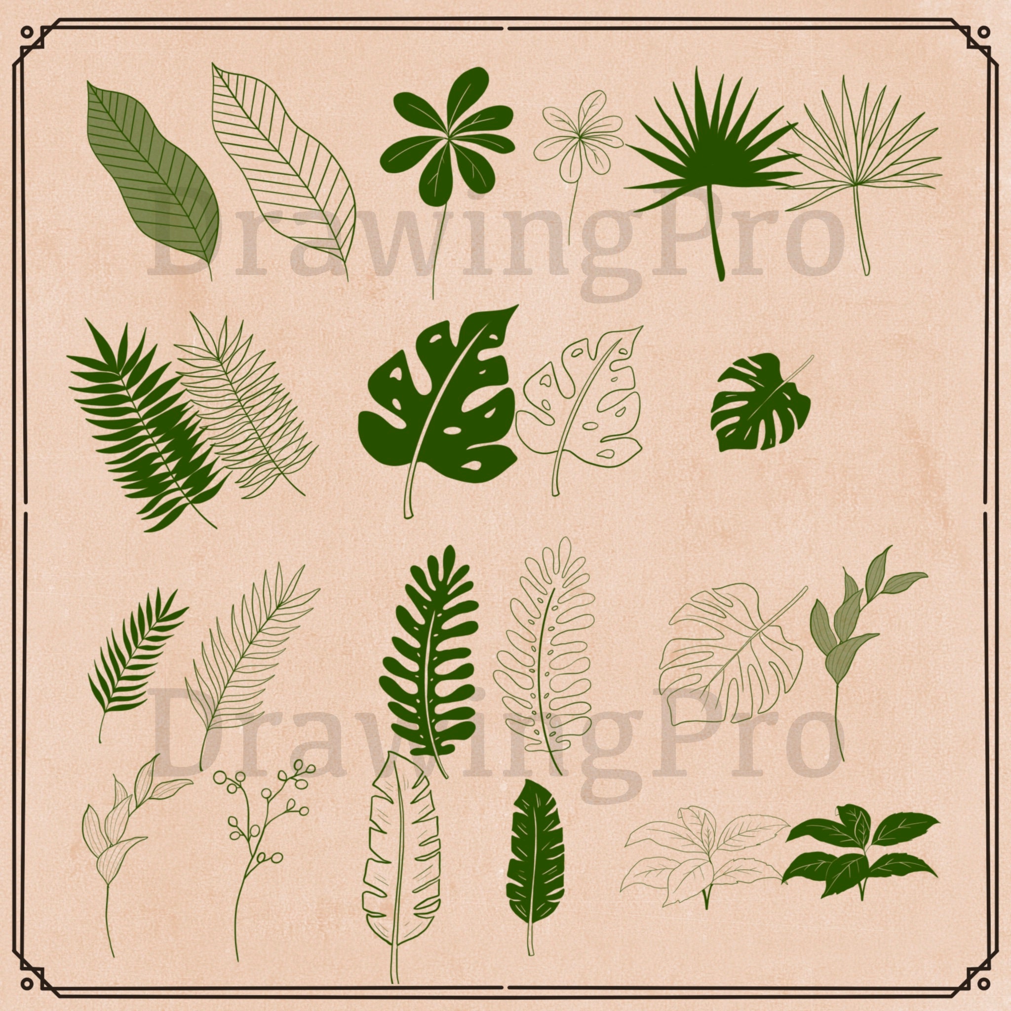 46 Procreate Tropical Leaves Stamps + PNG , Botanical Stamps Procreate ...