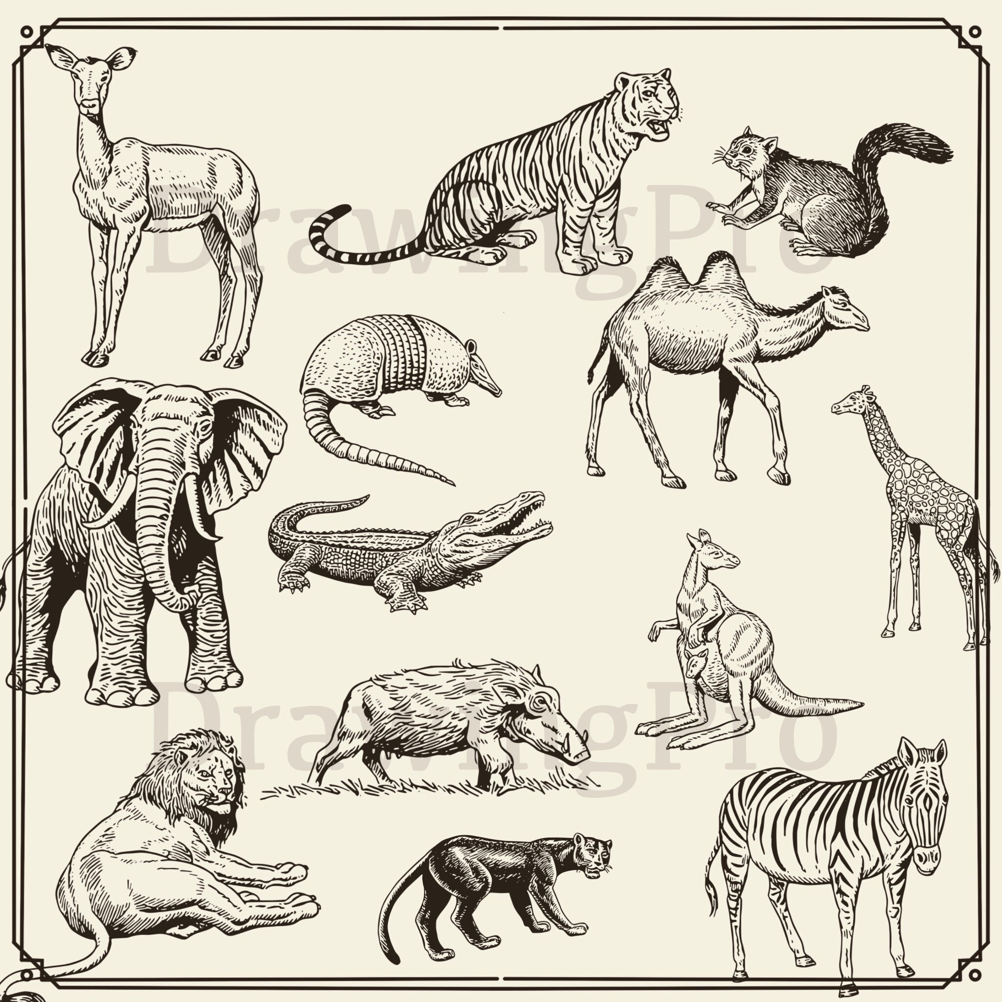 64 Procreate Animals Stamps , Procreate Dogs Stamps, Procreate Forest ...