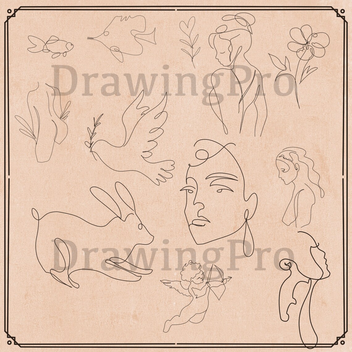 procreate line art procreate line art