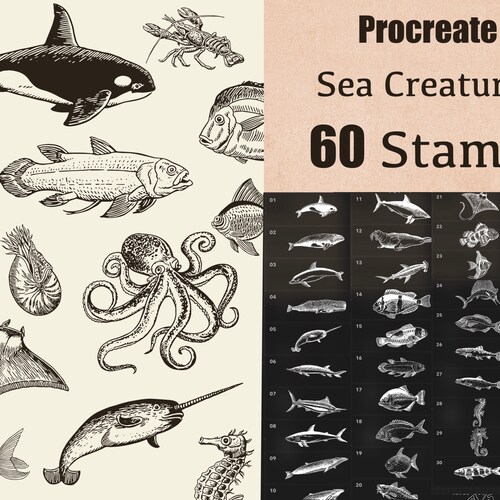 60 Procreate Sea Creatures Stamps Procreate Fish Stamps Etsy