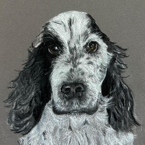 Custom Pet Portrait, Hand Drawn Pet Portrait