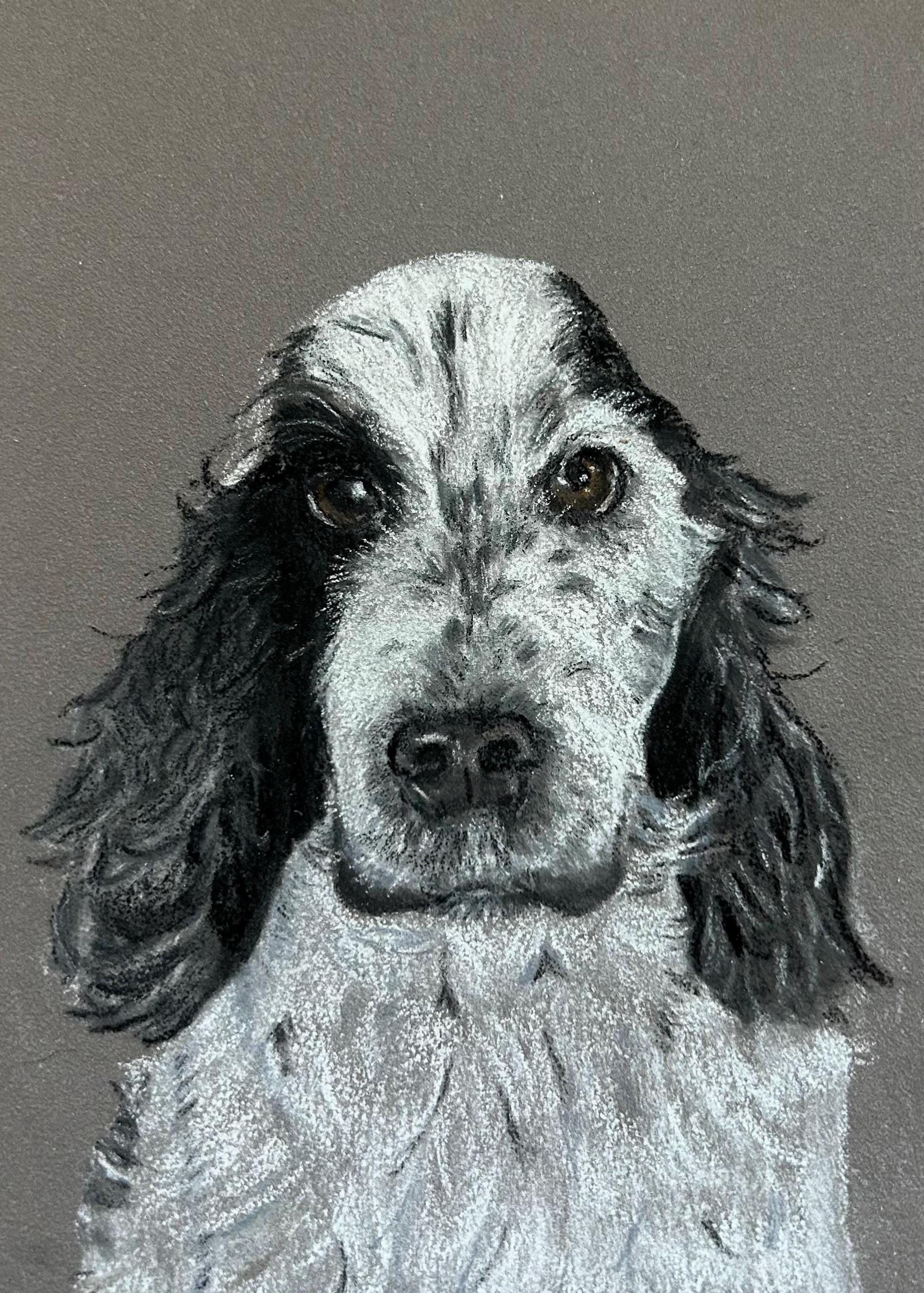 Custom Pet Portrait, Hand Drawn Pet Portrait - Etsy