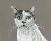 Custom Pet Portrait, Custom Pet Drawing From Photo, Pastel Drawing, Detailed Pet Portrait, Gift For Pet Parent