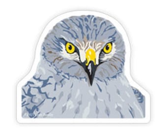 Northern Harrier #2 Sticker