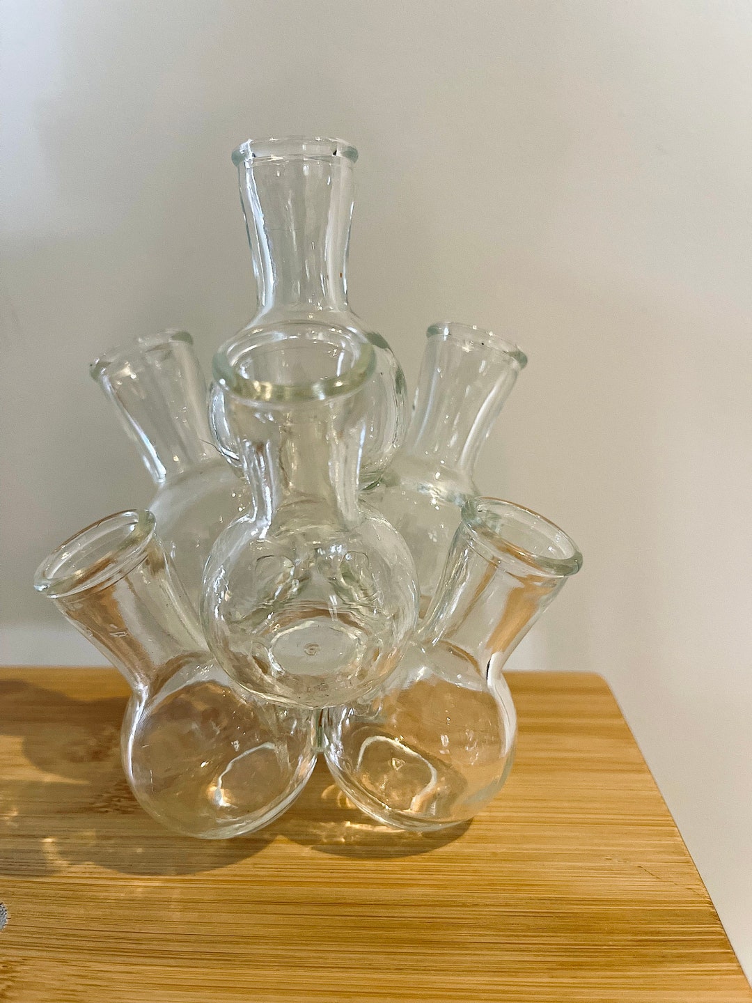 RARE Vintage Retro Glass Propagation Cluster Etsy