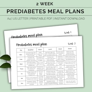 Piano alimentare prediabete, Piano alimentare pre-diabete, Pianificatore spuntini pasto diabetico, Elenco alimenti a basso contenuto di carboidrati, Consapevolezza del diabete, Tabella alimentare,PDF stampabile