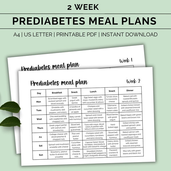 Prediabetes meal plan, Pre diabetes diet plan, Diabetic meal snack planner, Low carb food list, Diabetes awareness, Food chart,Printable PDF