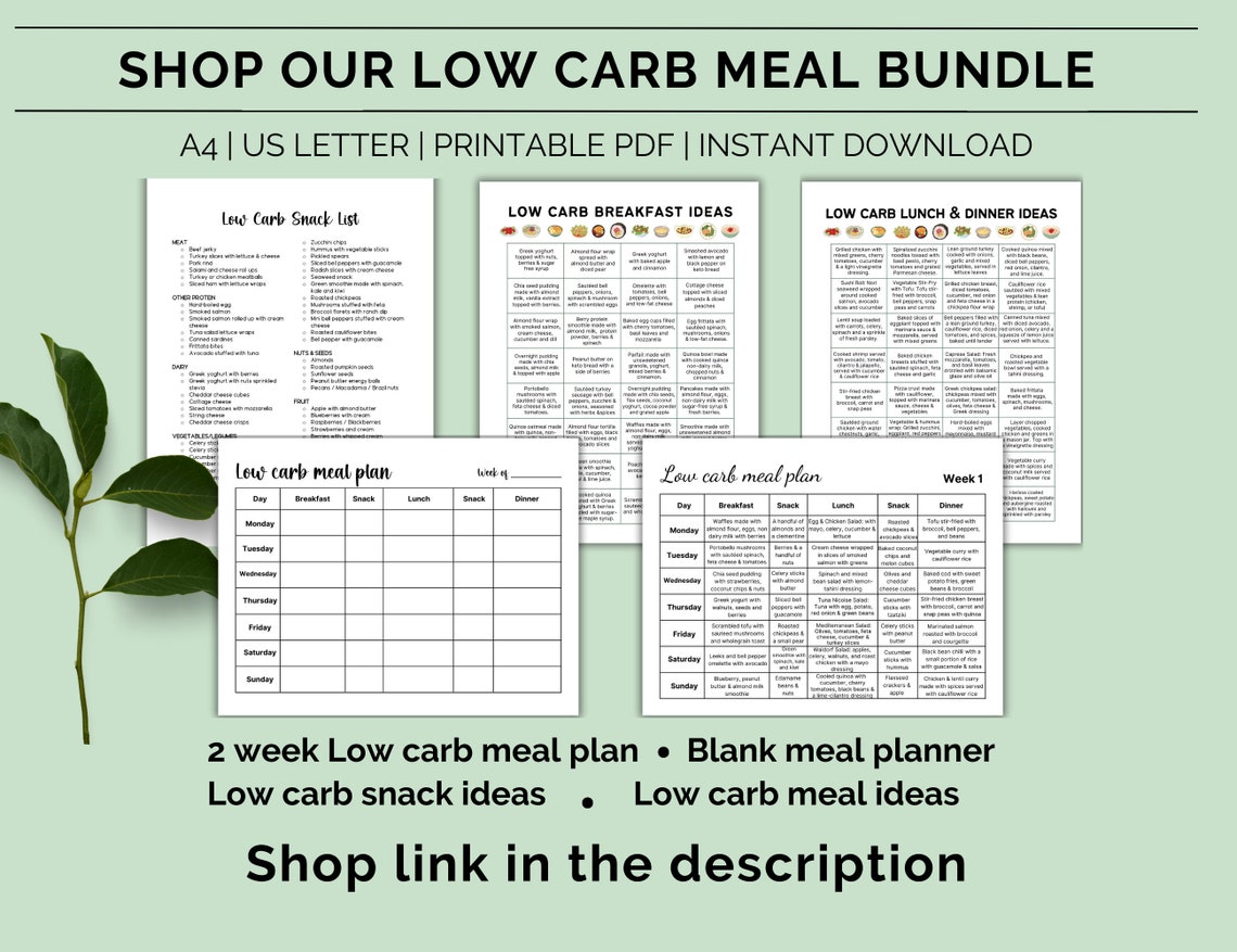 Printable 2 Week Low Carb Meal Plan Low Carb Diet Plan Diabetic Meal