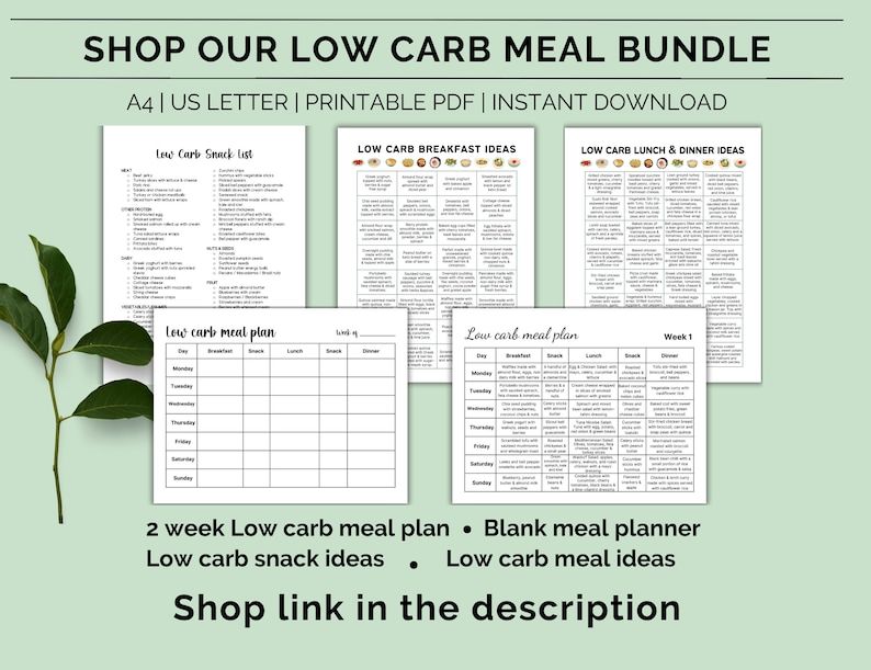 Printable 2 Week Low Carb Meal Plan, Low Carb Diet Plan, Diabetic Meal