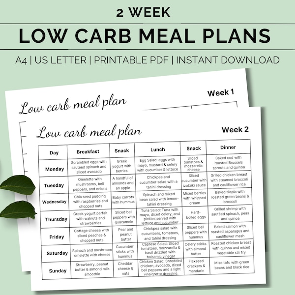 Printable 2 week low carb meal plan, Low carb diet plan, Diabetic meal and snack planner, Low carb food & snack list, Weight loss meal plan