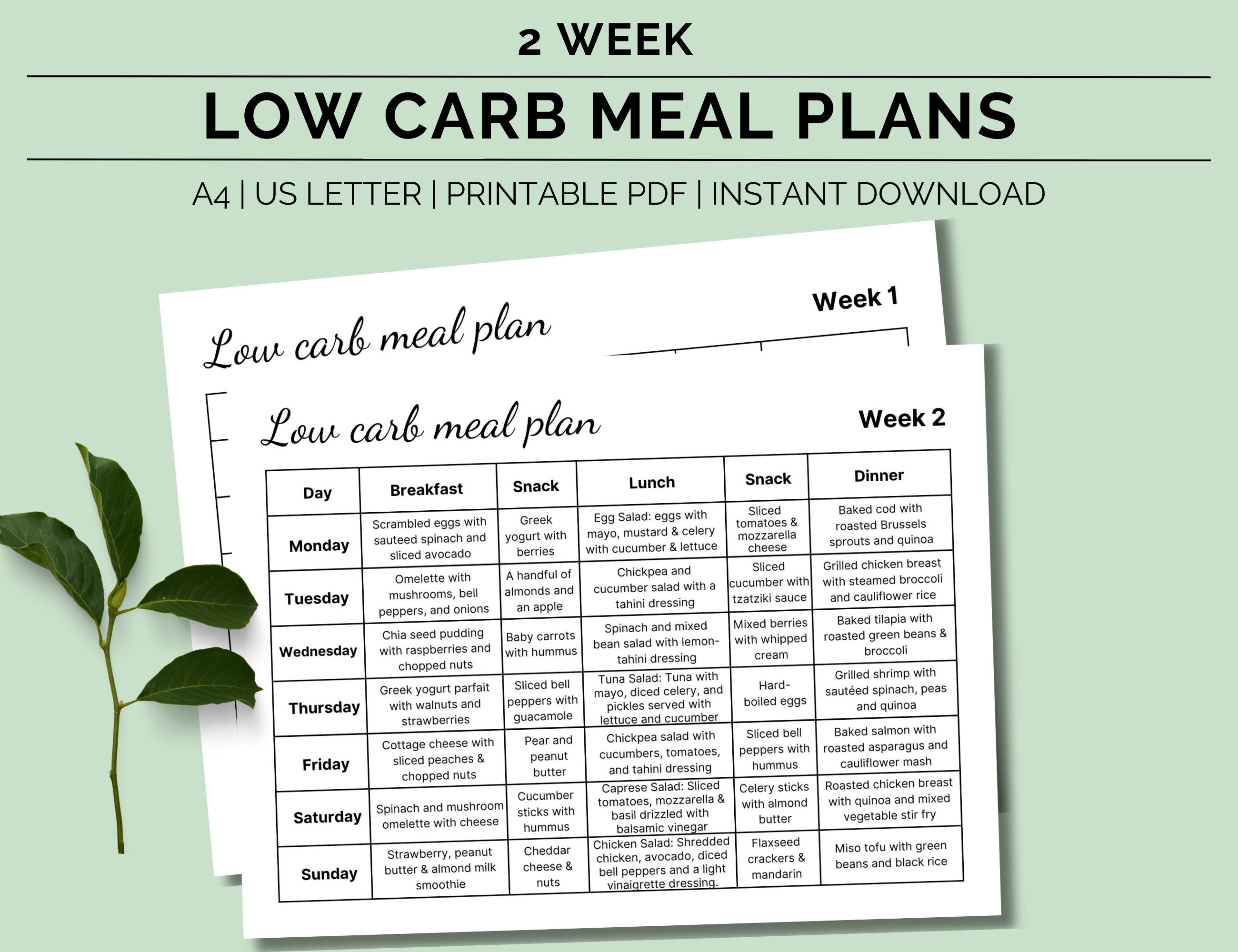 Printable 2 Week Low Carb Meal Plan, Low Carb Diet Plan, Diabetic Meal ...