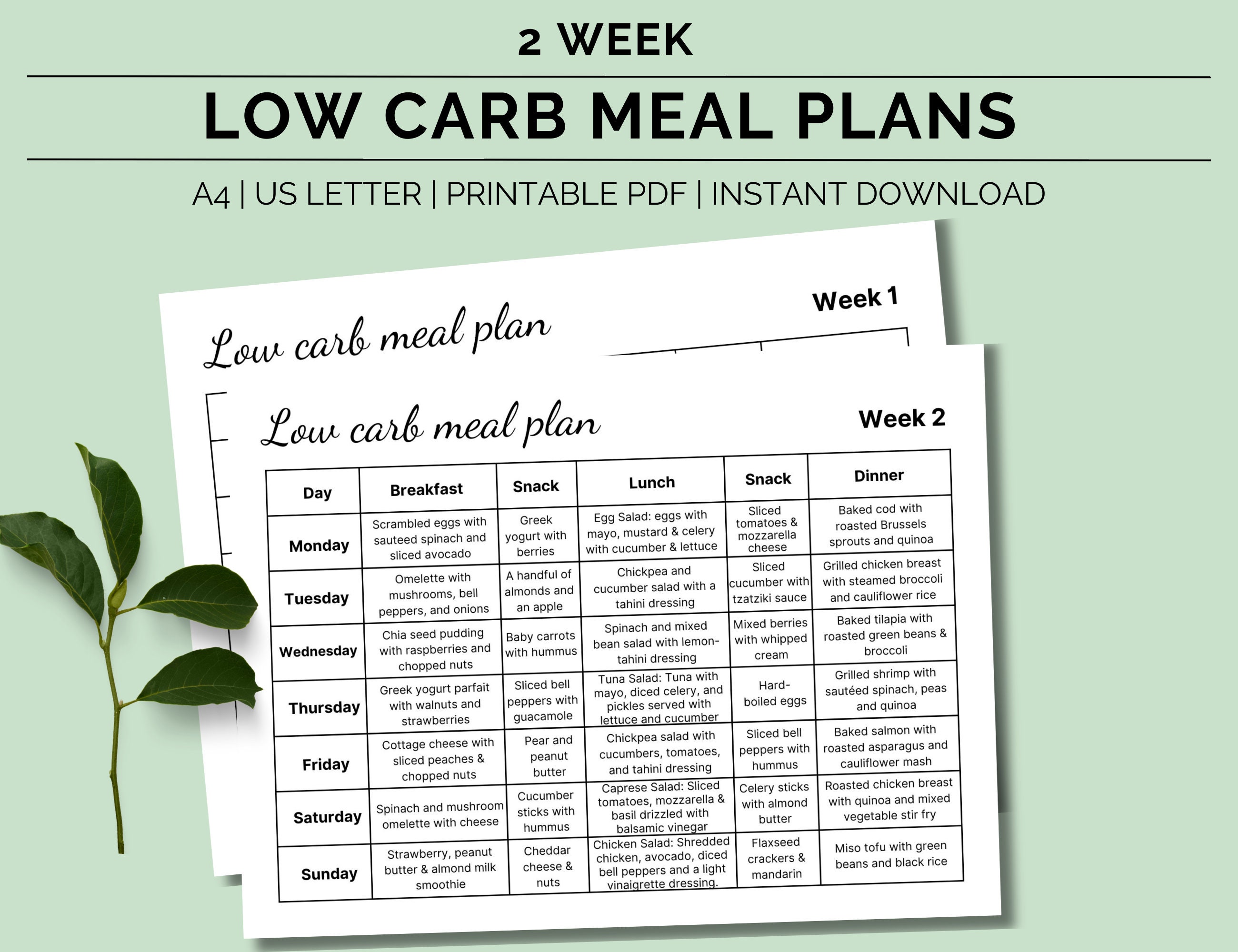 Printable 2 Week Low Carb Meal Plan, Low Carb Diet Plan, Diabetic Meal