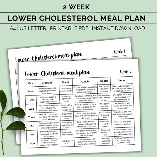 Cholesterol lowering Printable Meal plan, Low cholesterol food list, Lowering cholesterol diet, Weekly meal planner, HDL & LDL, Download pdf