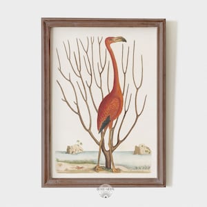 Printable Vintage Flamingo painting, boho coastal wall art, bohemian bird print, Instant Download #VT009