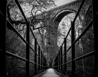 Lambley viaduct Northumberland a3 print